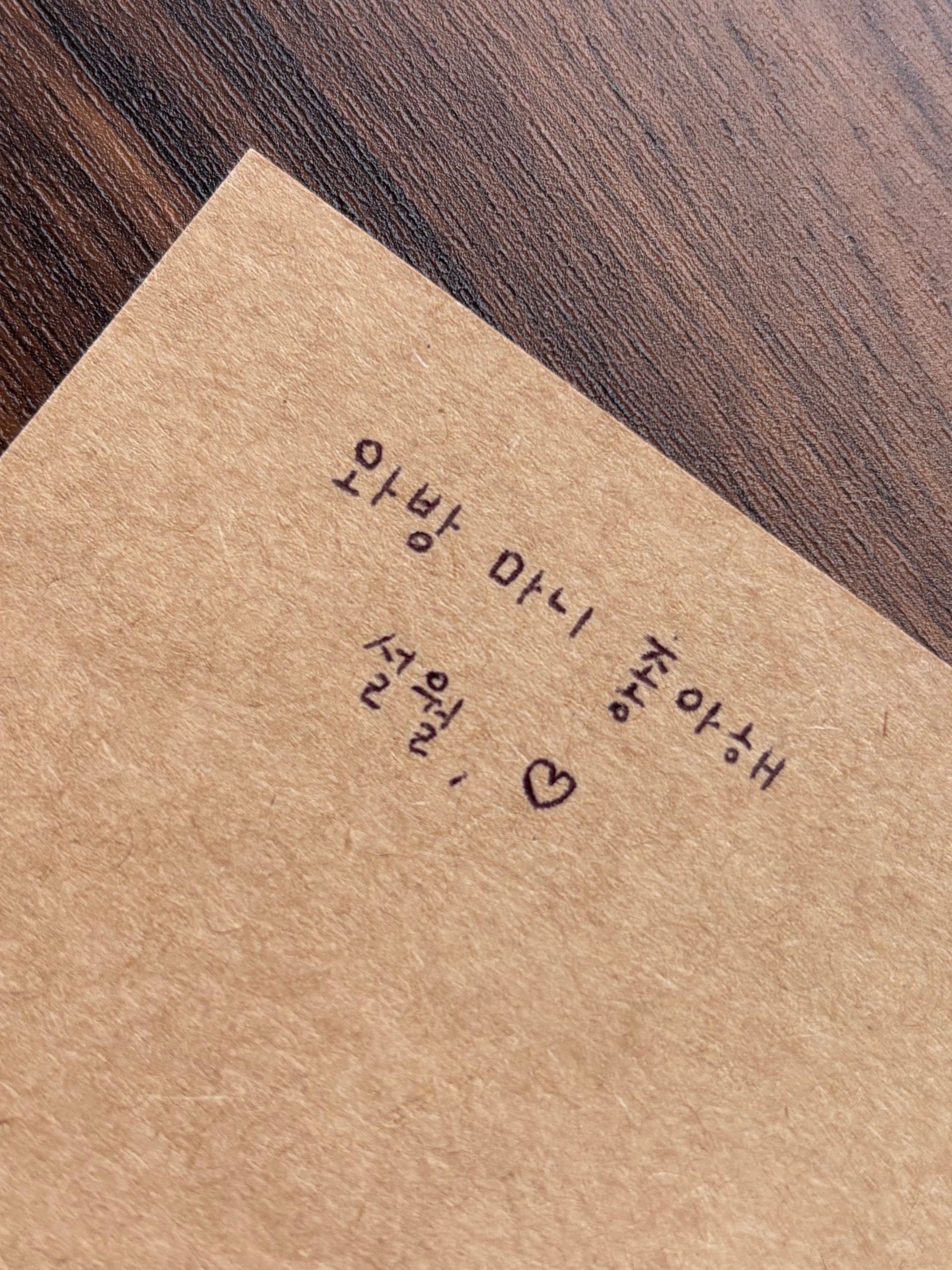 설 월