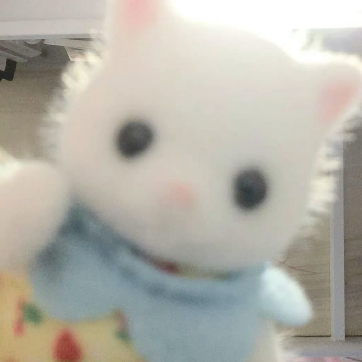 먀 오 먀 오