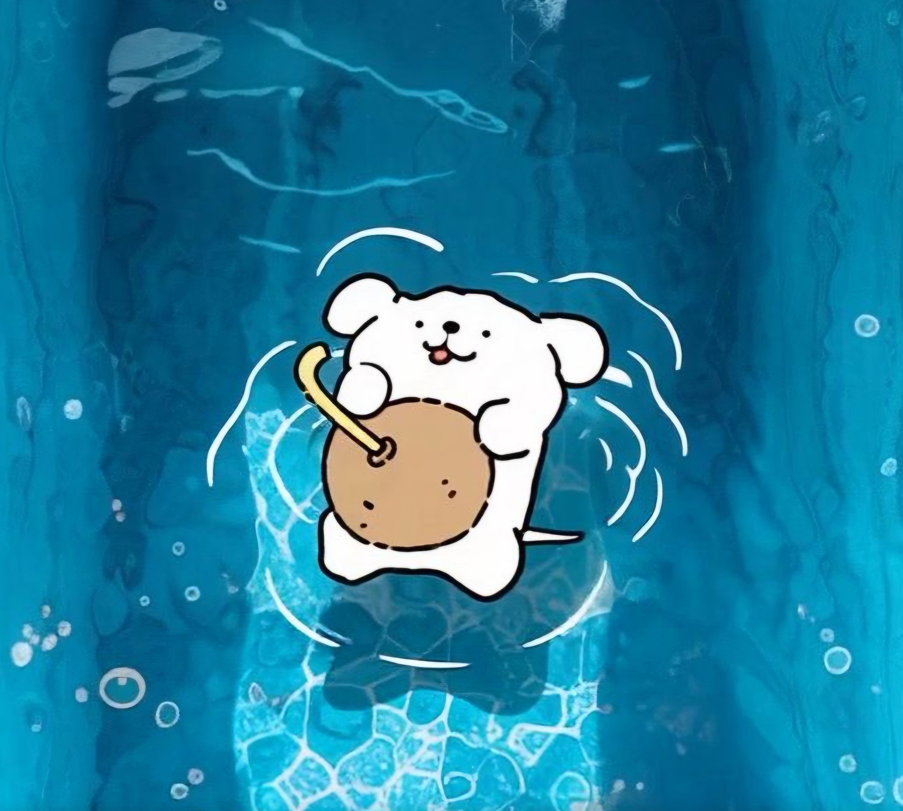 김 라 디