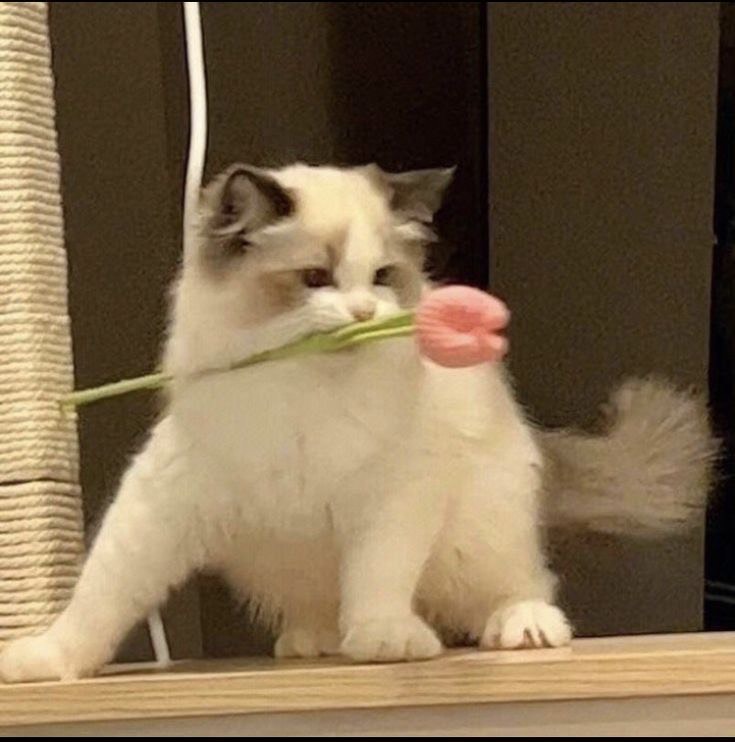 결