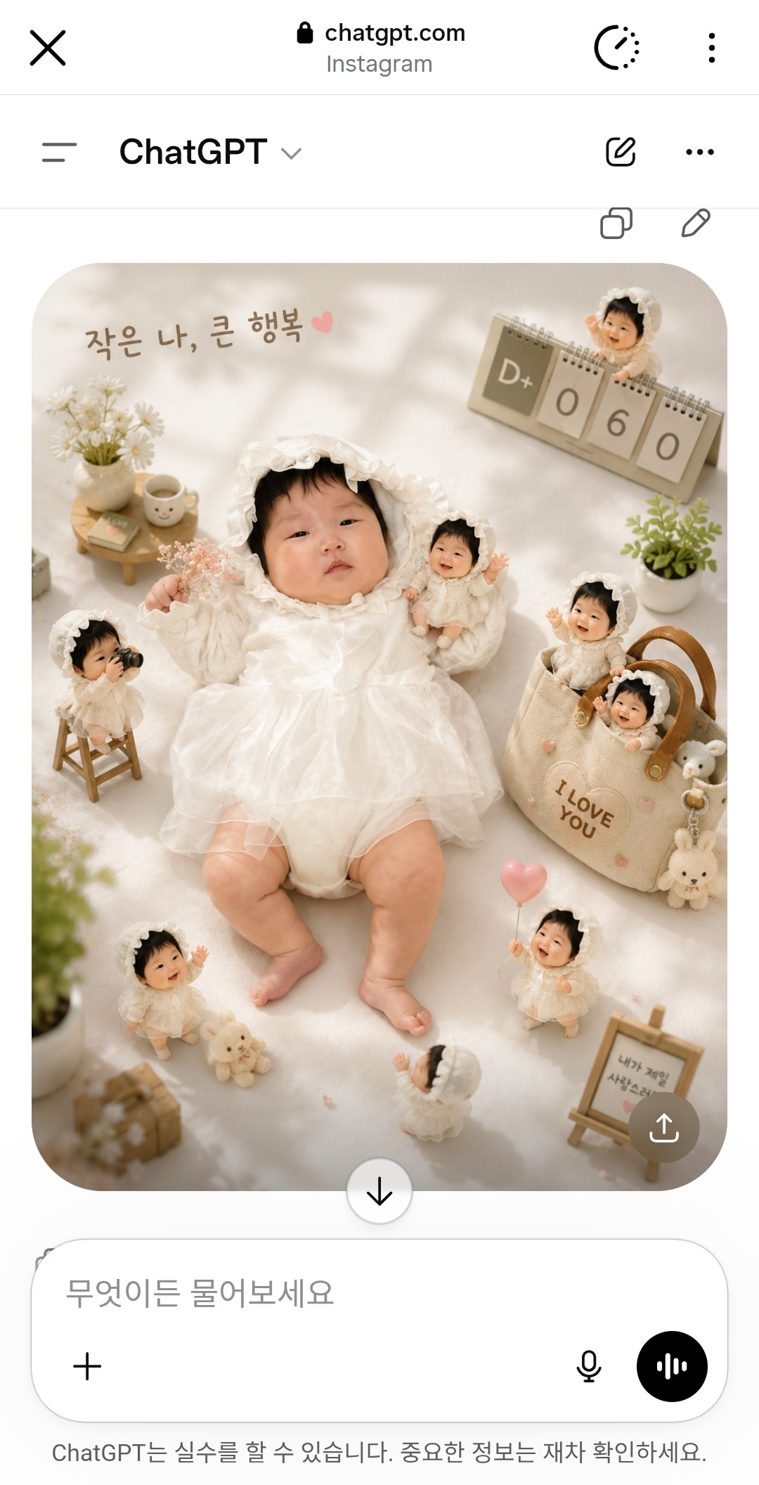 👶 비비드  🌸