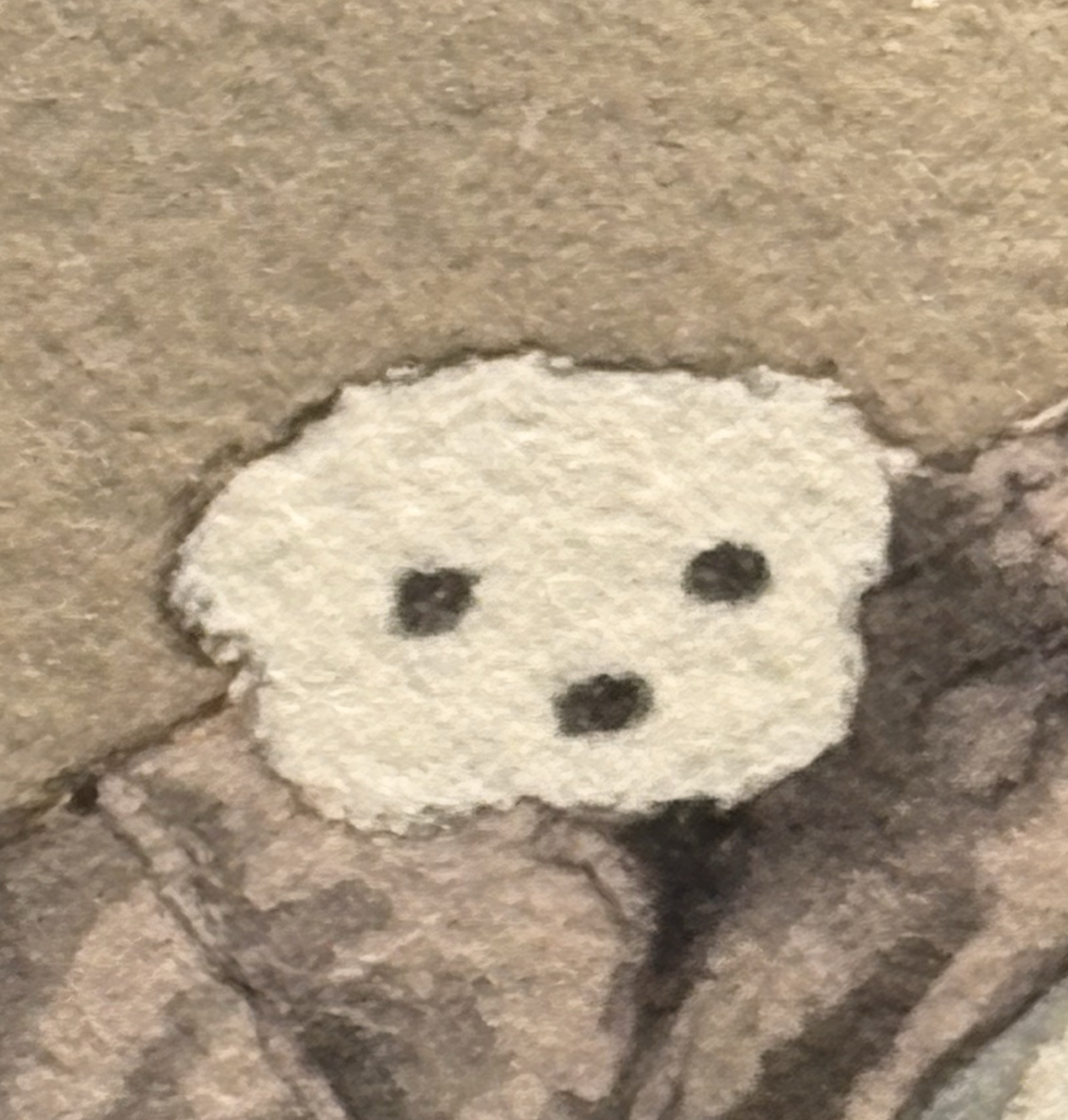 𝐓𝐎𝐘
