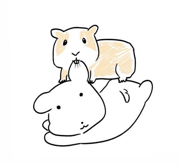 채 영
