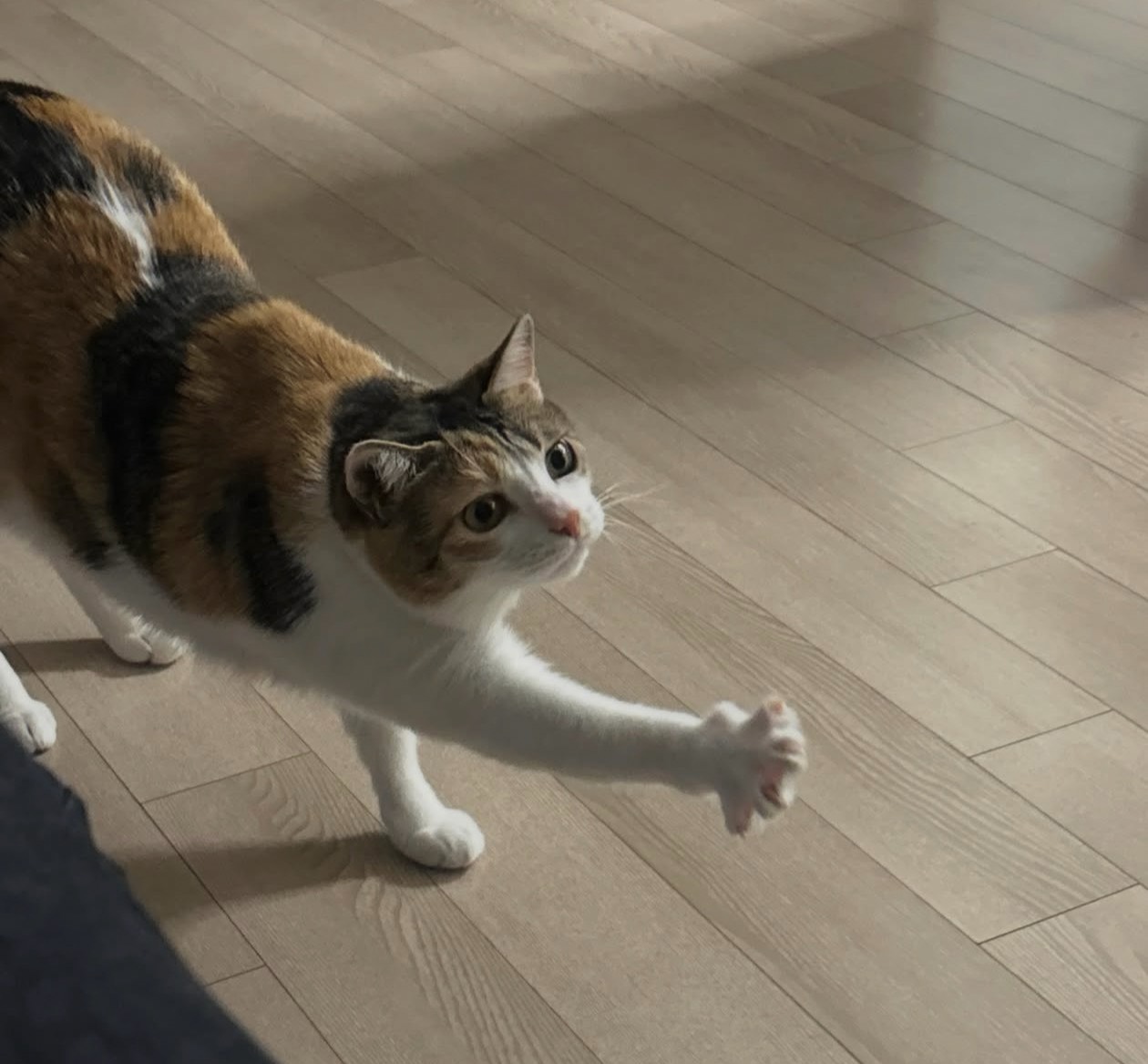 모락모락 김이 나는 알감자