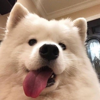 소  깡 ☁︎˚⋆