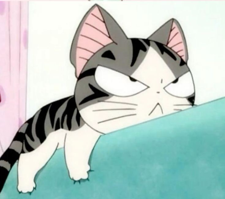 반지