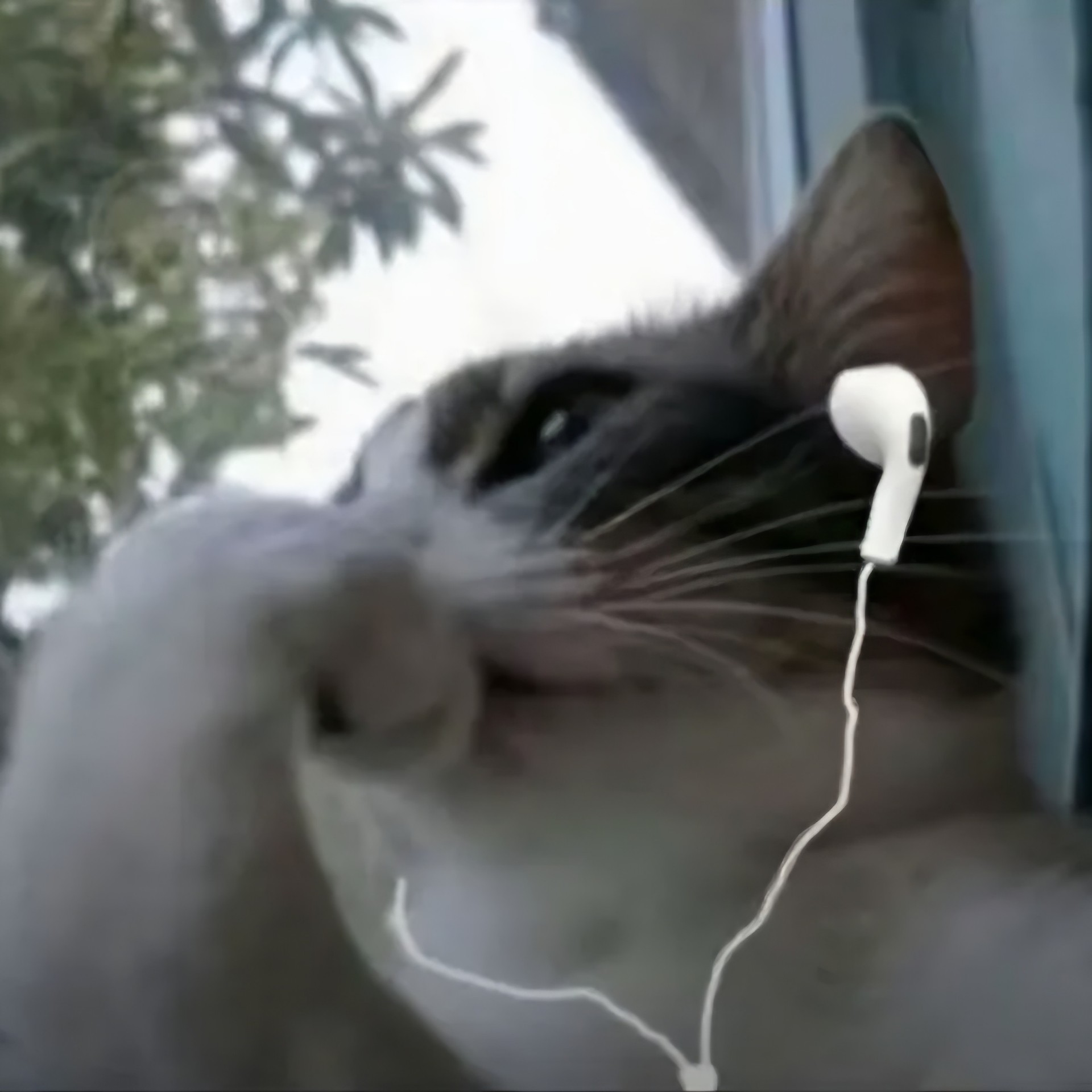 잉걸ᶜʰⁱˡˡ