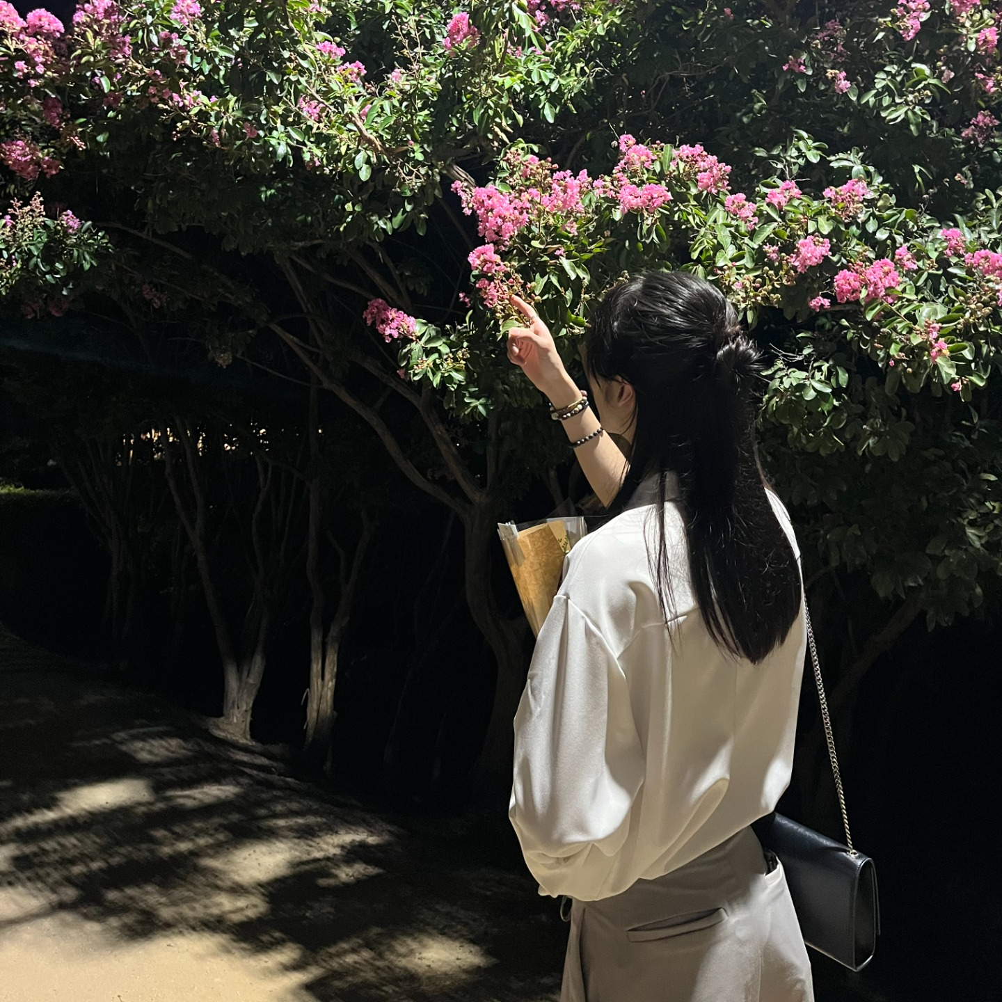 루다 ᴸᵘᵈᵃ     v͚