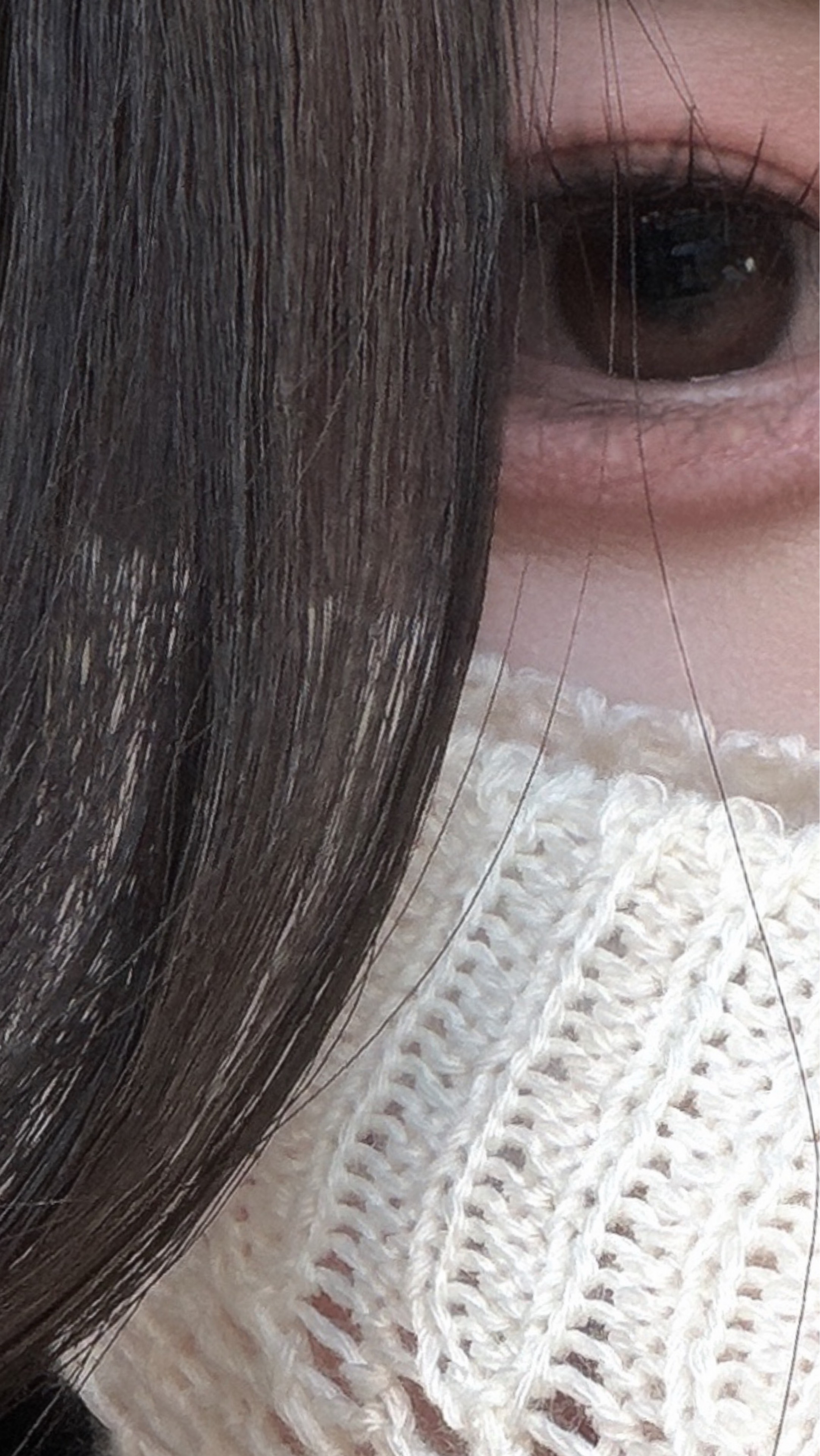 ๐ฎ๐ฐ๐ป๐ป๐ฐ๐ณ๐ฐ๐ค๐ฌ