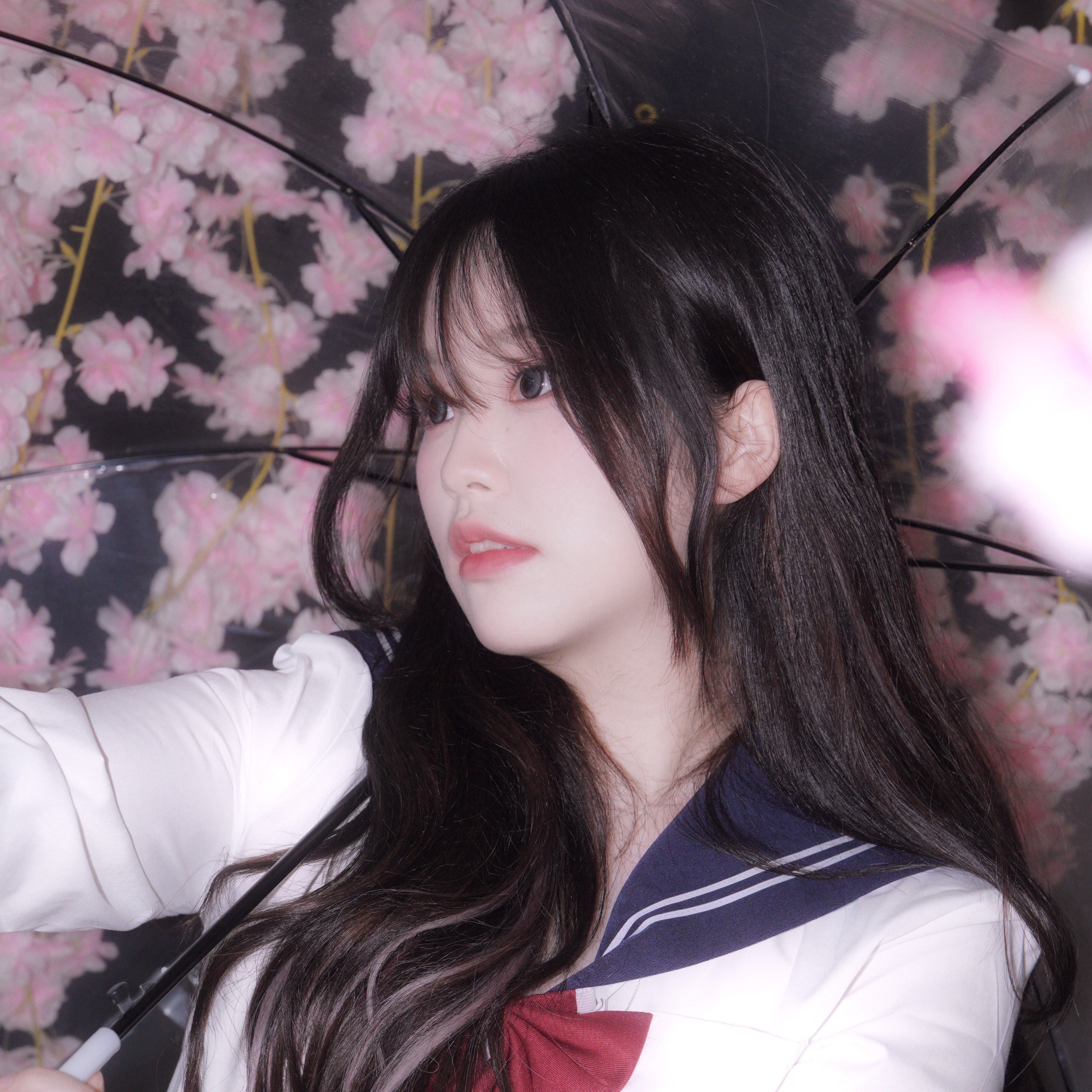 연 두