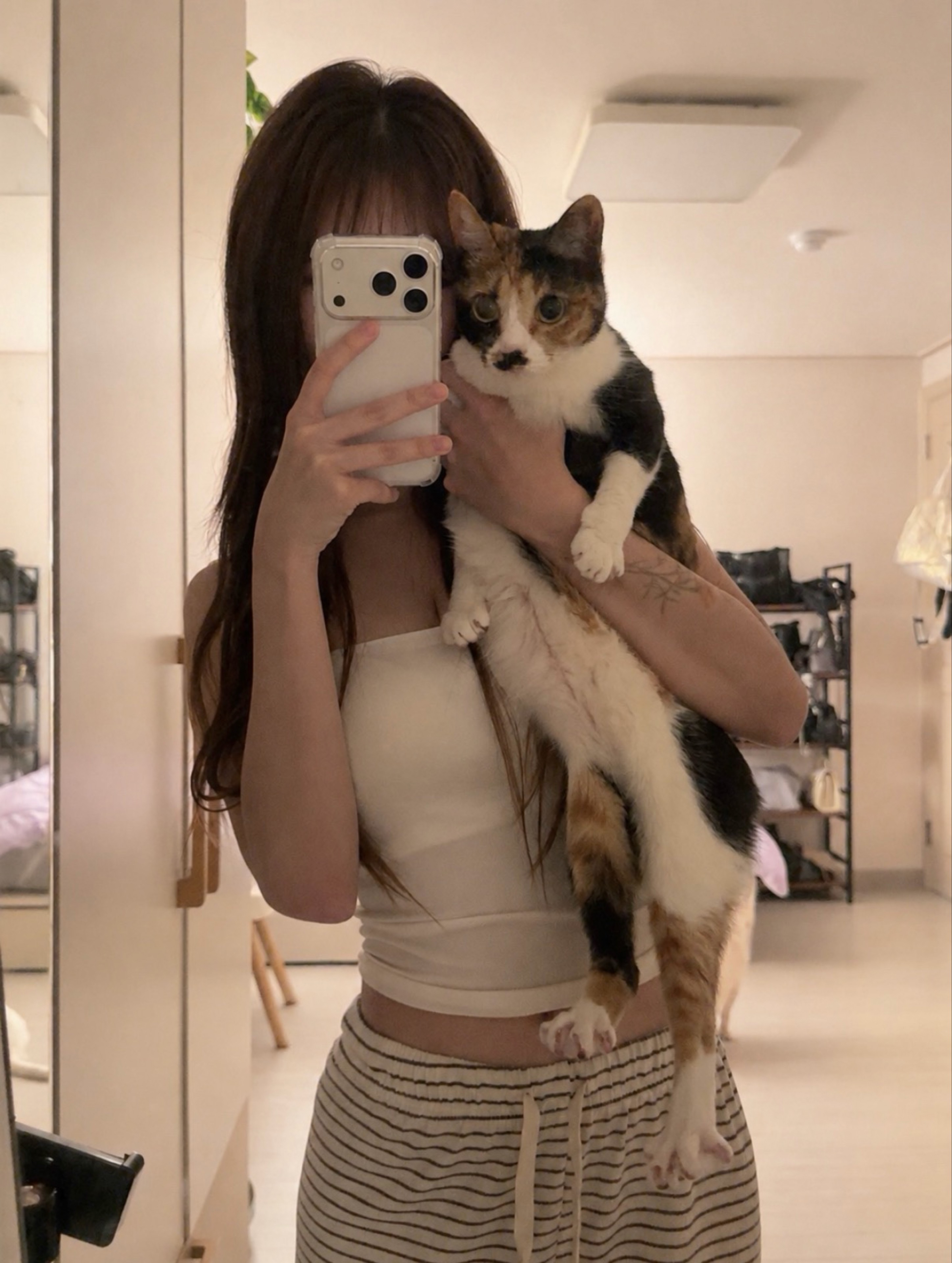 ㄷㅏ빈