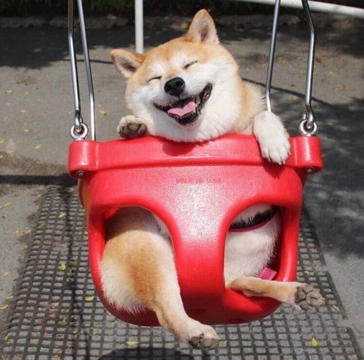하루히 𝒽.𝓇𝓊໒꒱