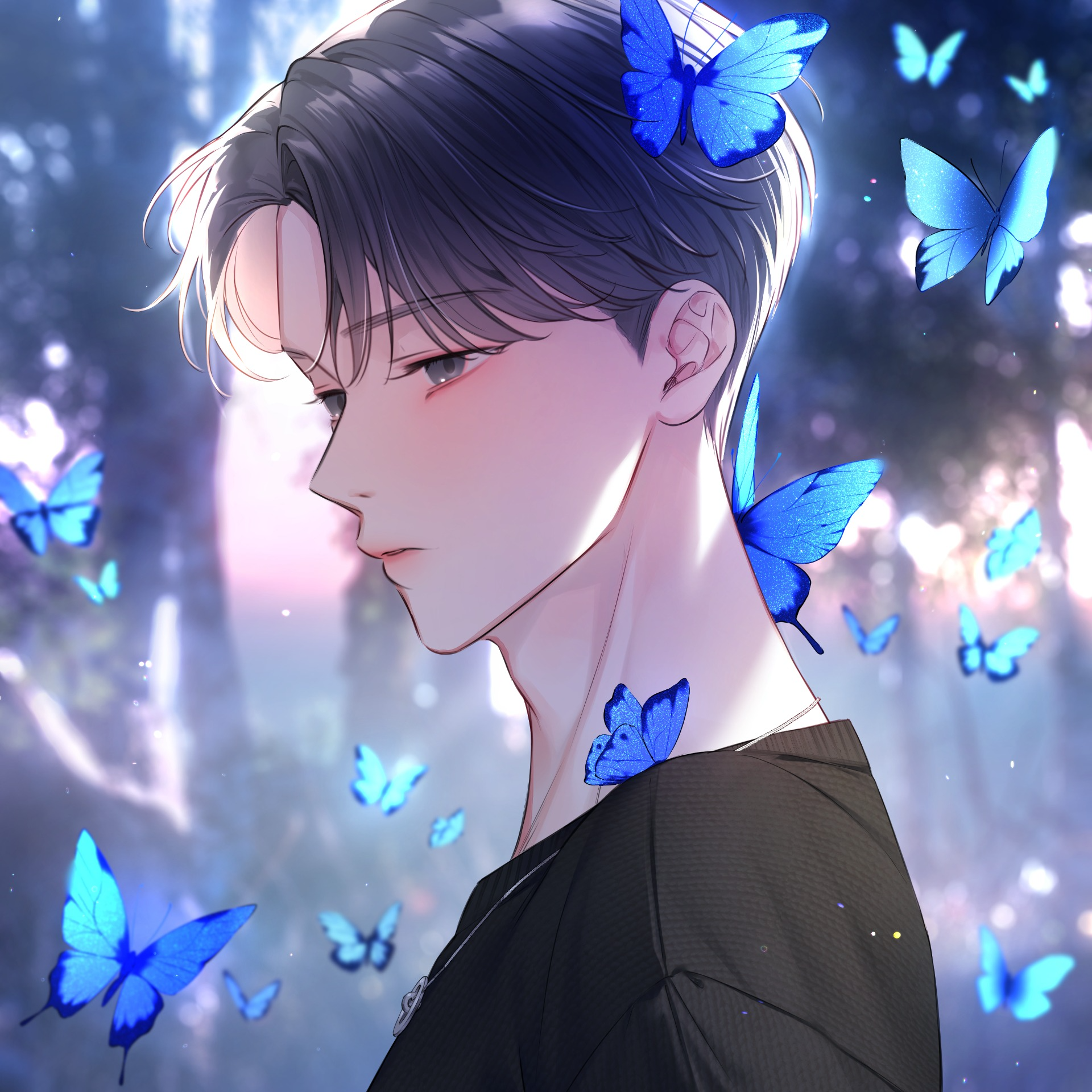 Xin _๐ฆ