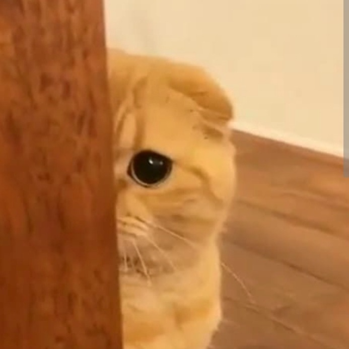 뽀그리 𖧧