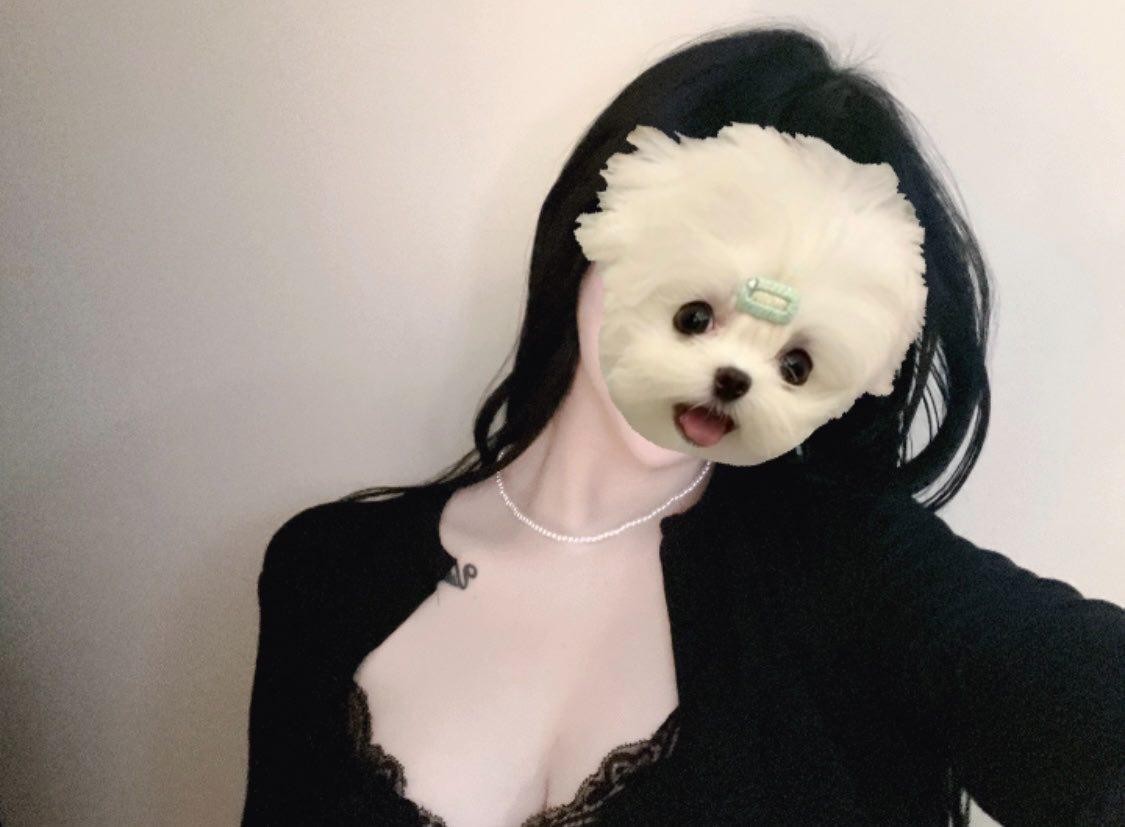 백 땡