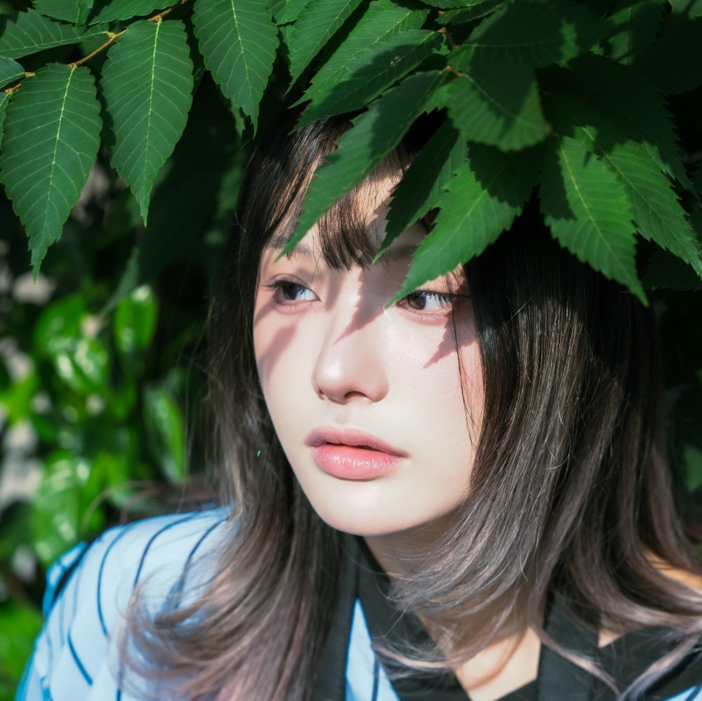 홍 연