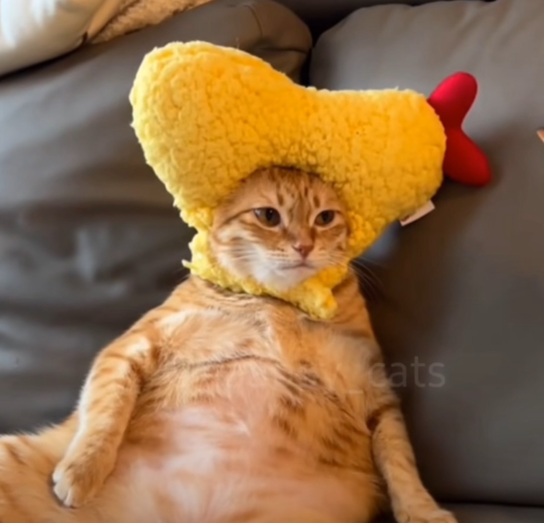 모락모락 김이 나는 알감자