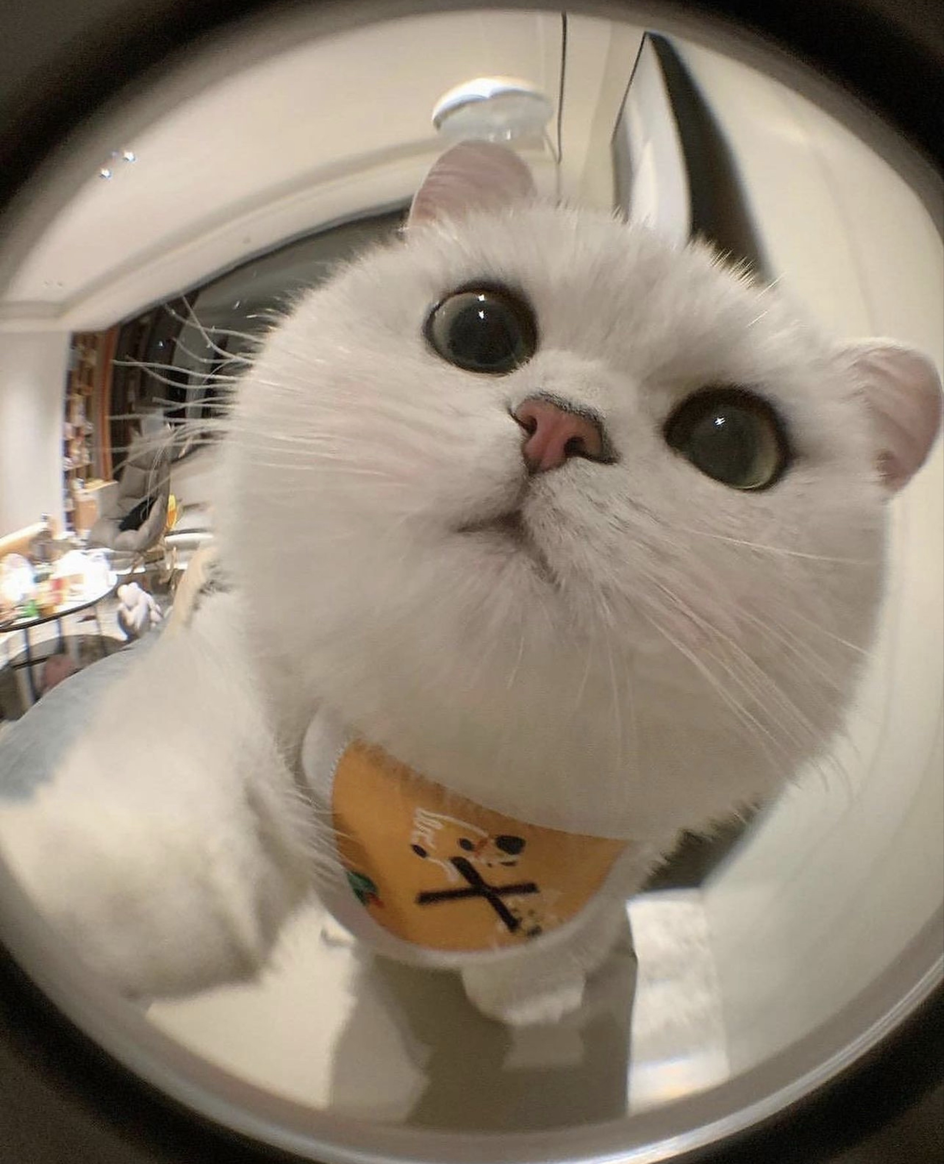 대부