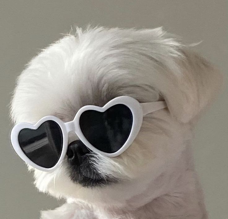 𝗗𝗼𝘃𝗹𝗲𝘆 ᴰᴼ