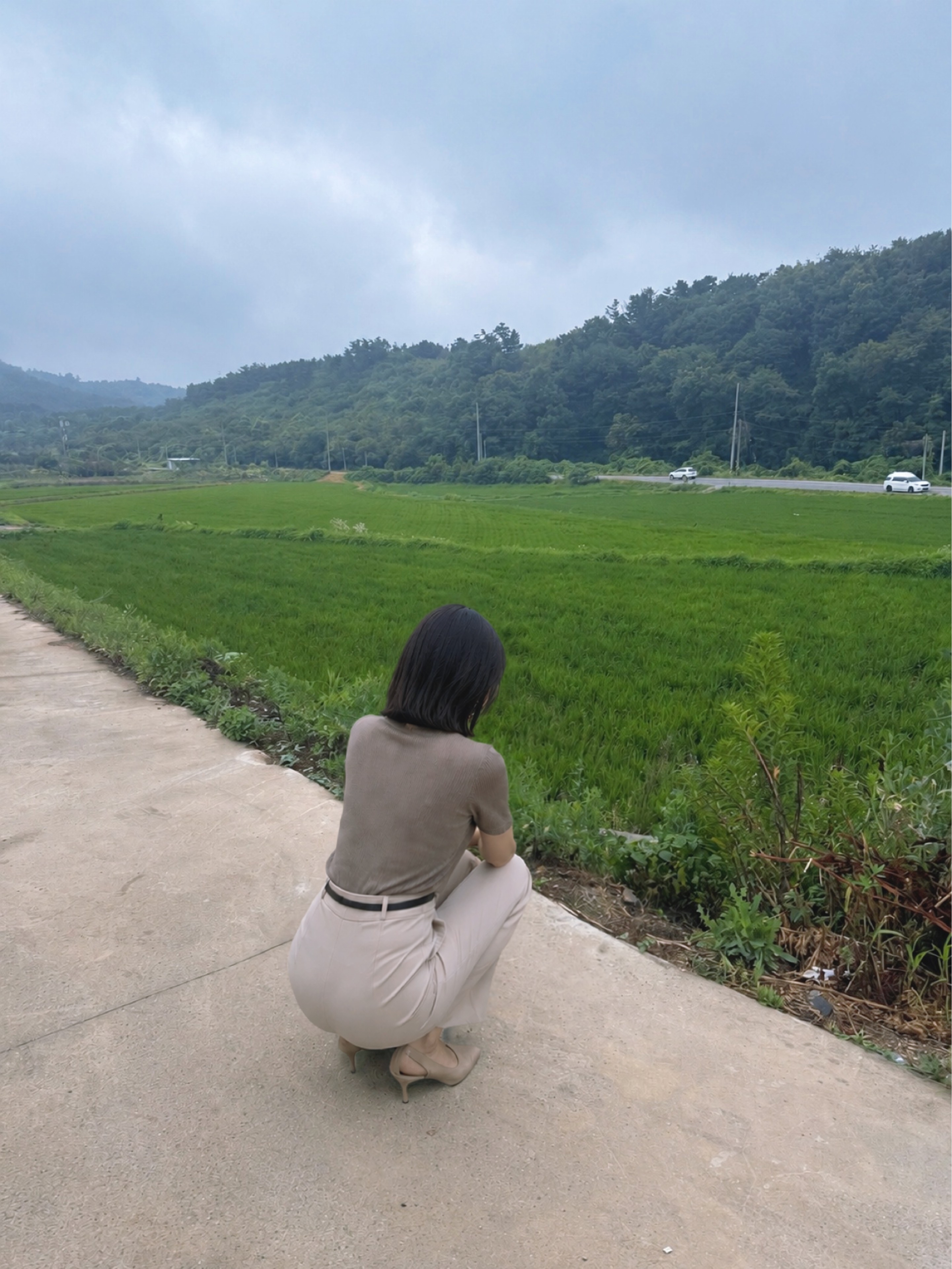 솔