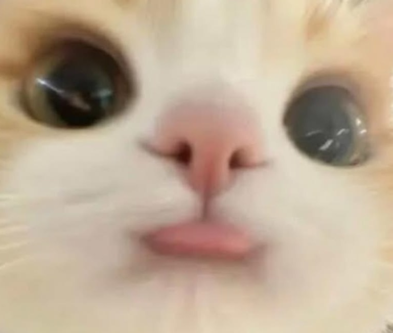 김 미 니!  ⁵²