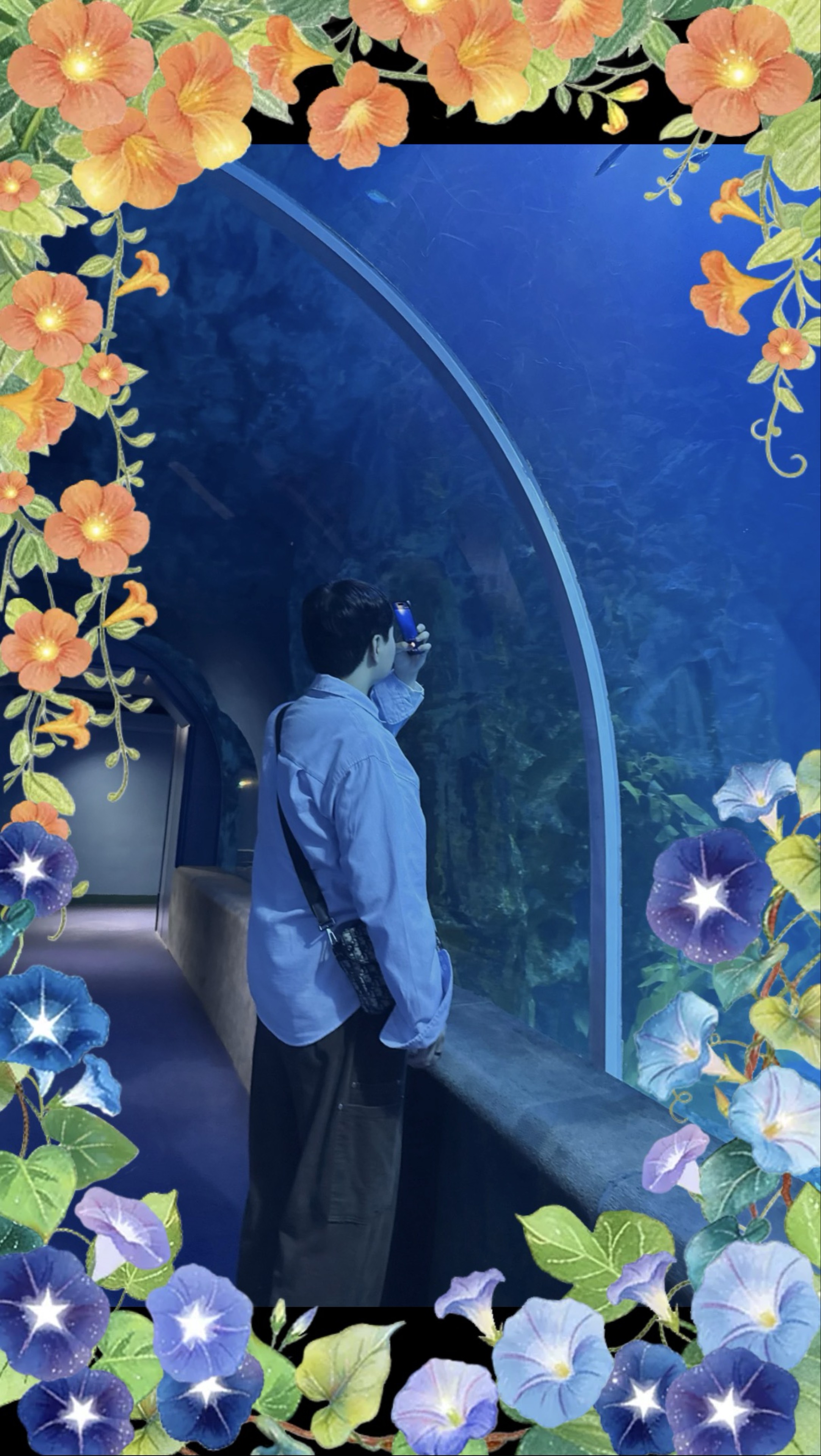 ✔️김 토 리