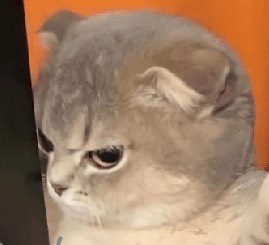 U͙     서 일뚕