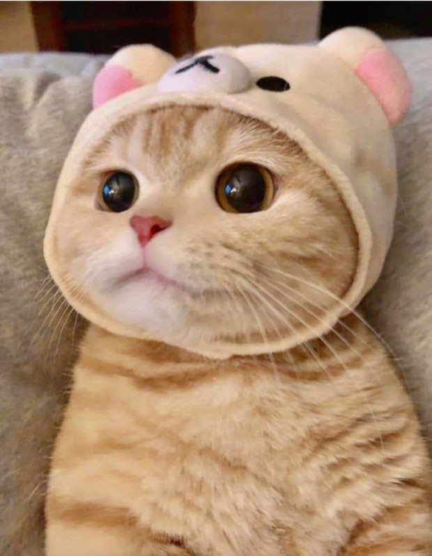 유라