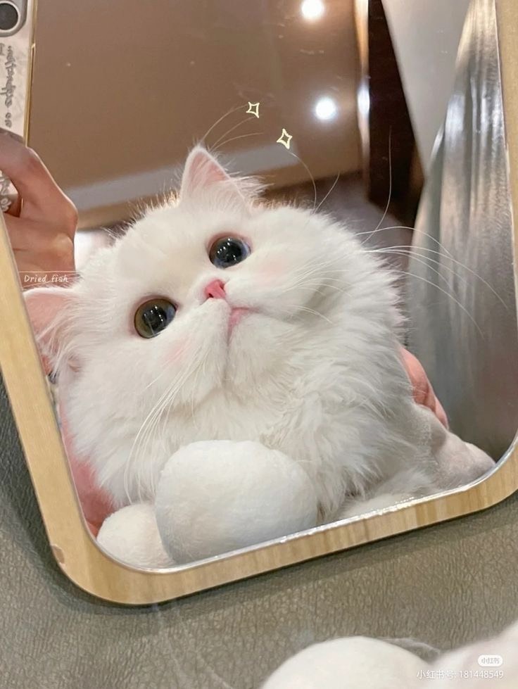 나 봄