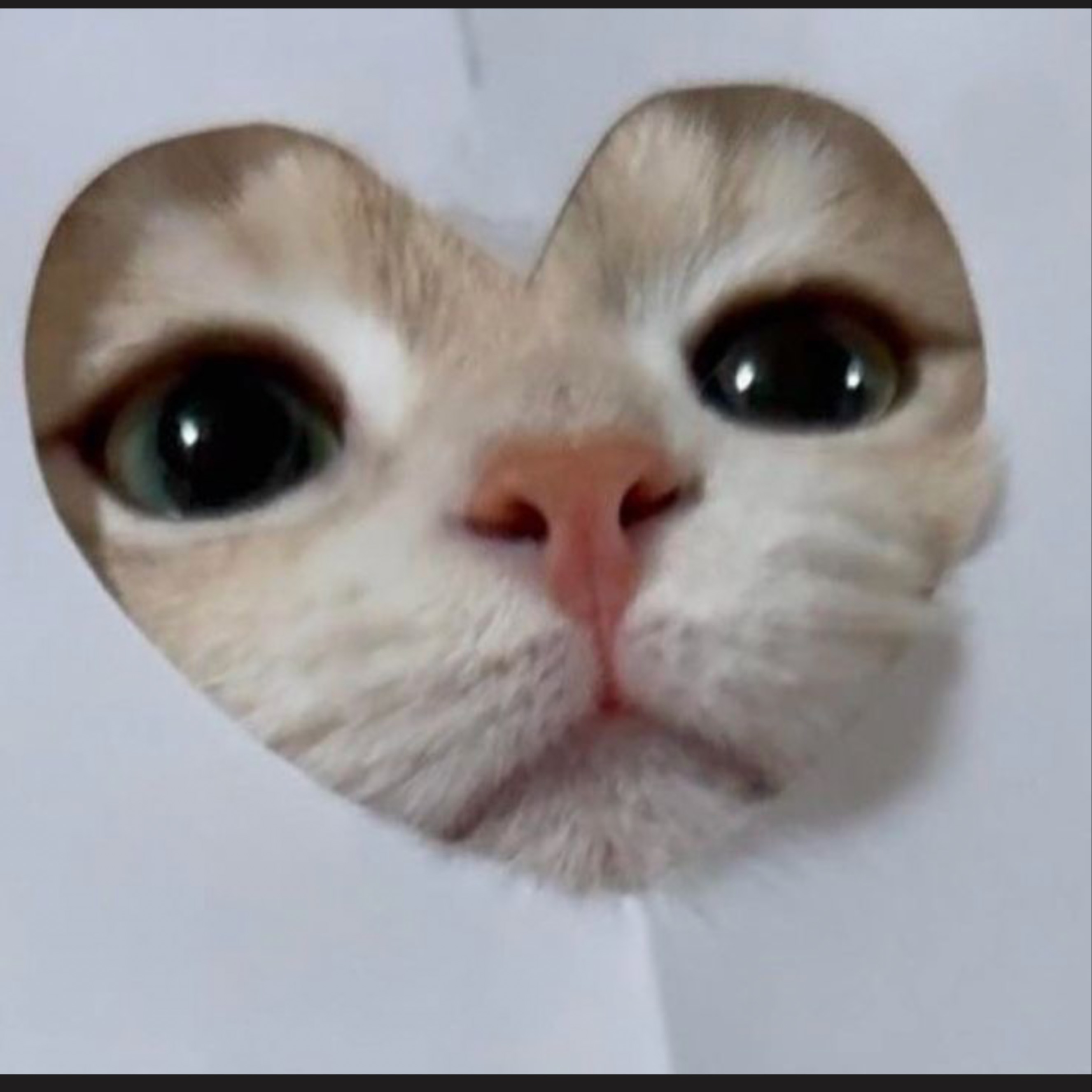 수 민 💭