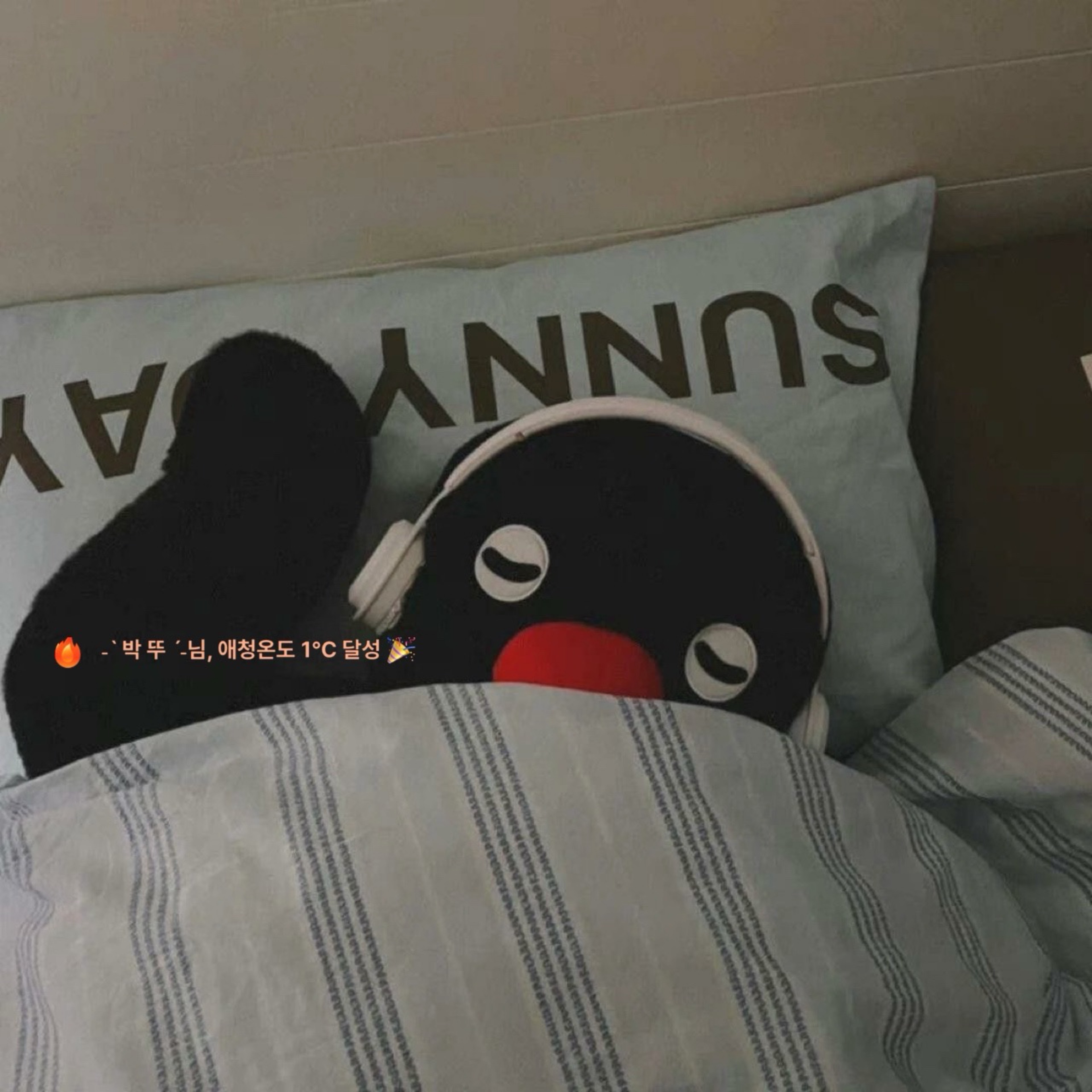 ˗ˋ 박 뚜 ˊ˗