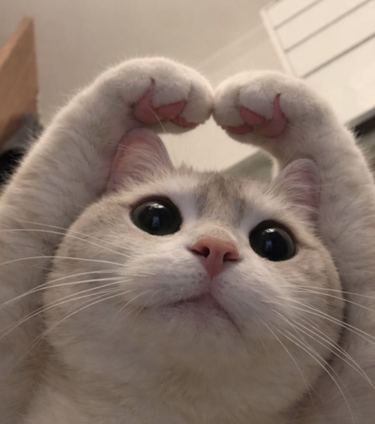 ๋ ๋ฌด ๐งง