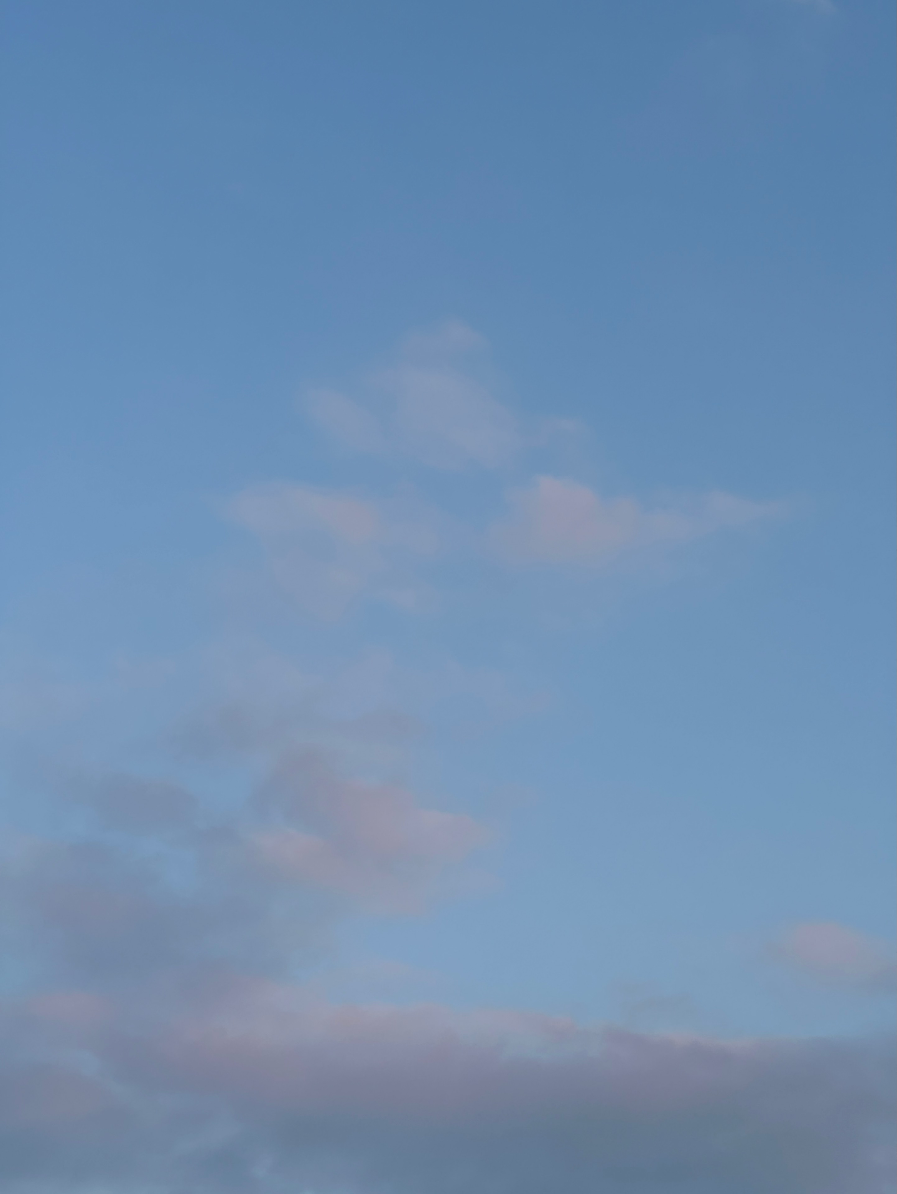 서 안