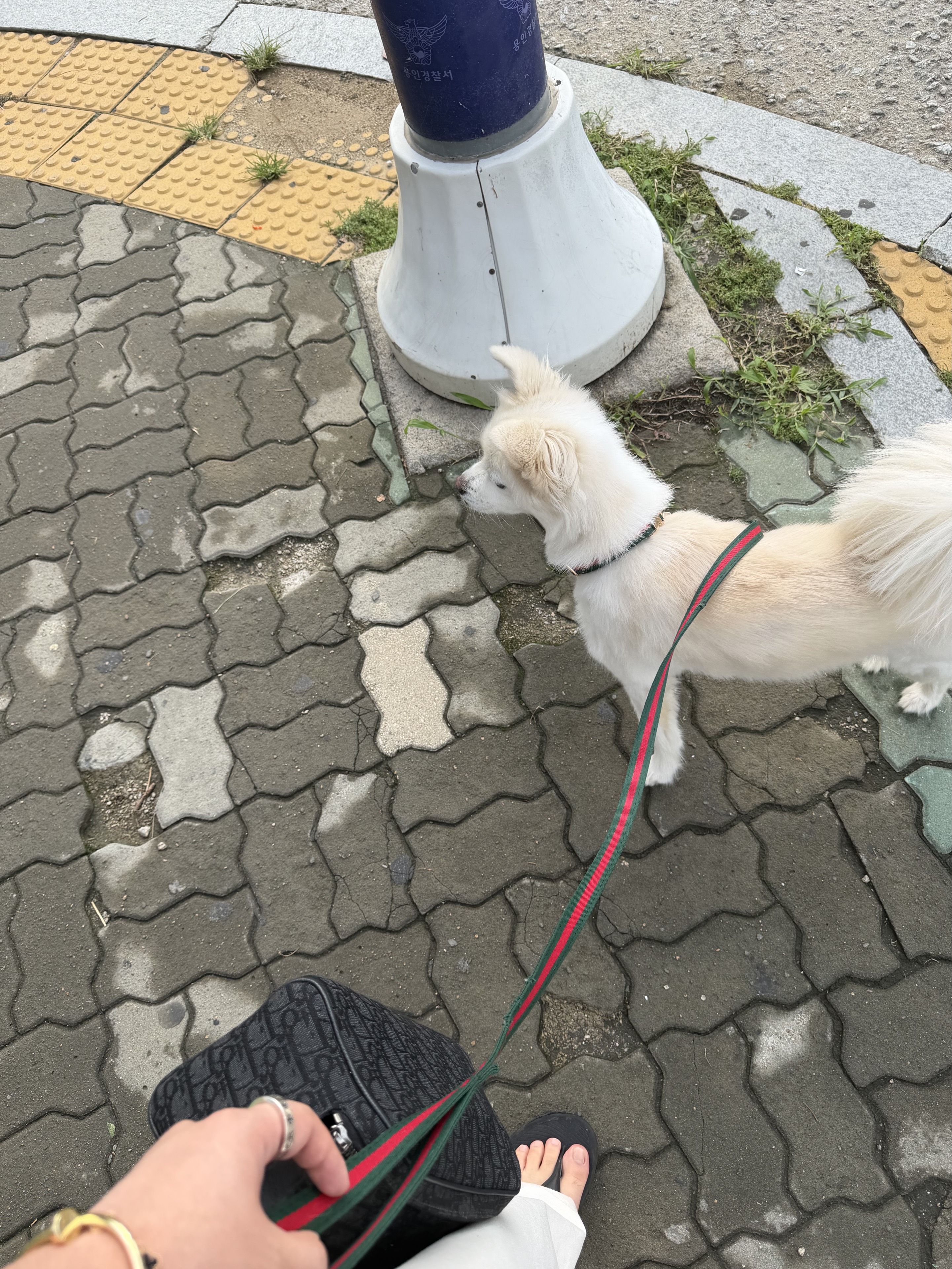 음 표
