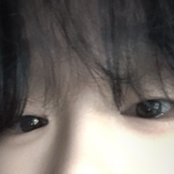 김도안