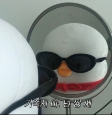 김 토 끼