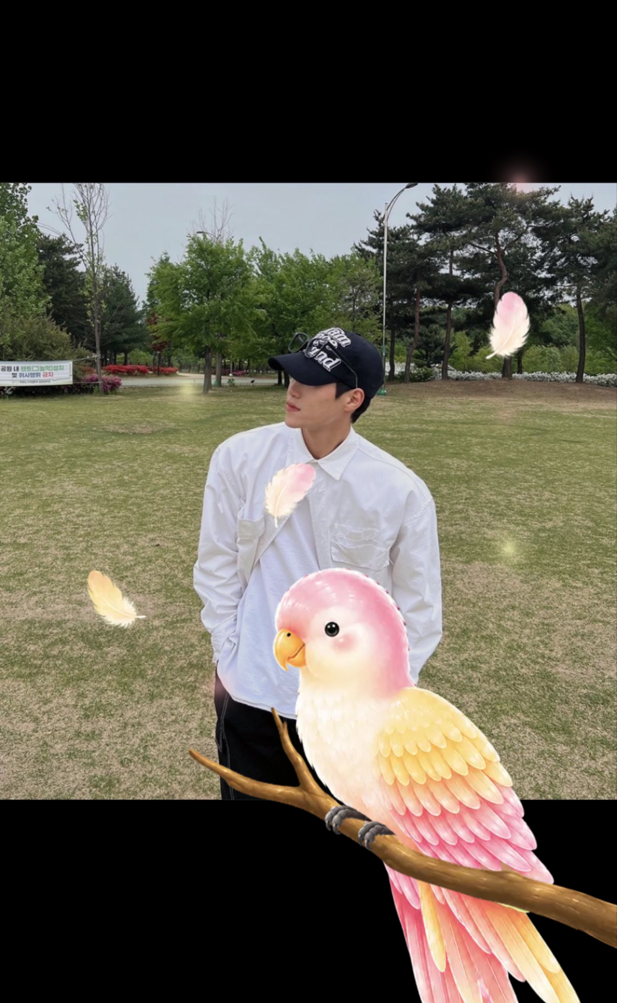 ๐ถ๐ป ํผ ํฐ ํฌ แฉ