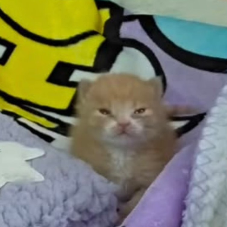 ๋ ๋ฌด ๐งง