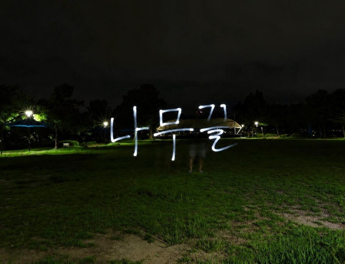 나무끌 𐃉𝄢