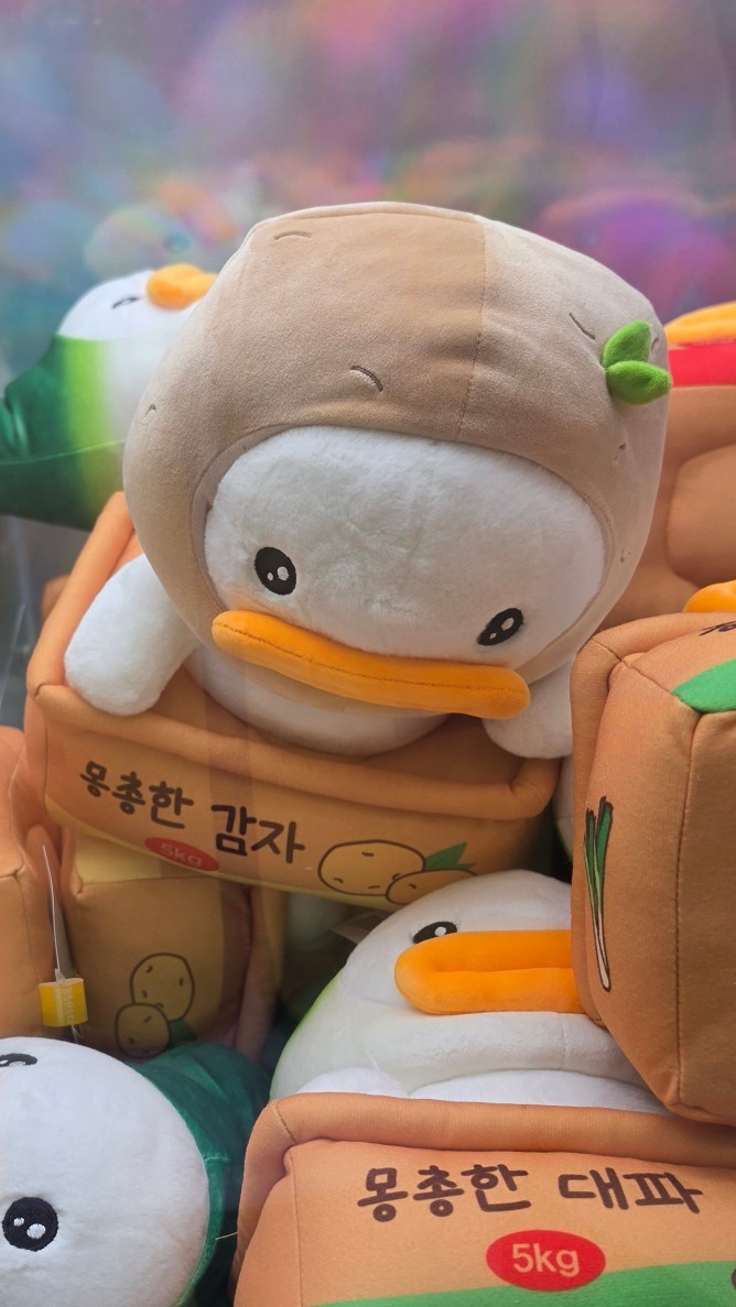 설로롱 ❄
