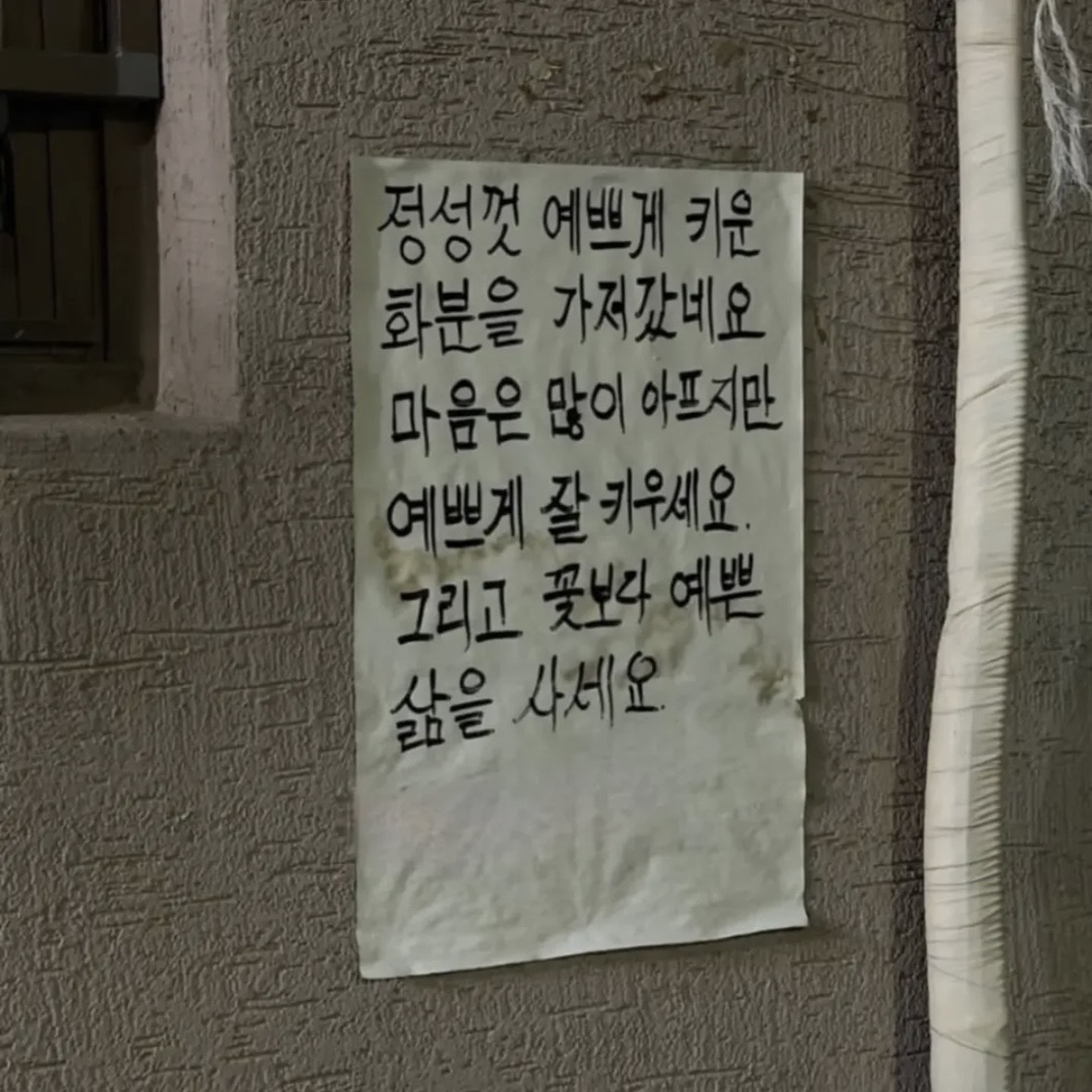 기타로봇
