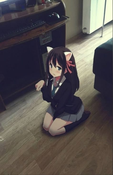 보아