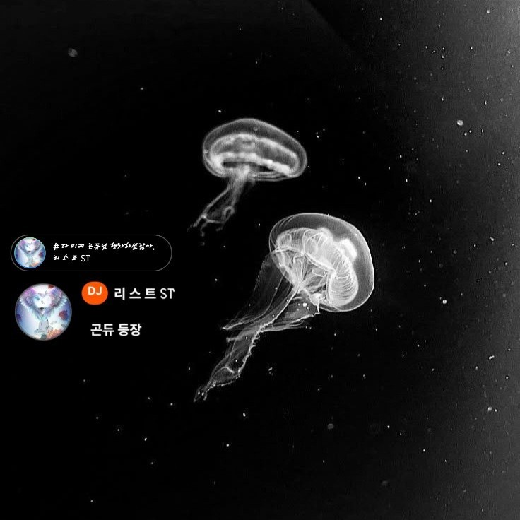 한 설 화 ꒚꓅