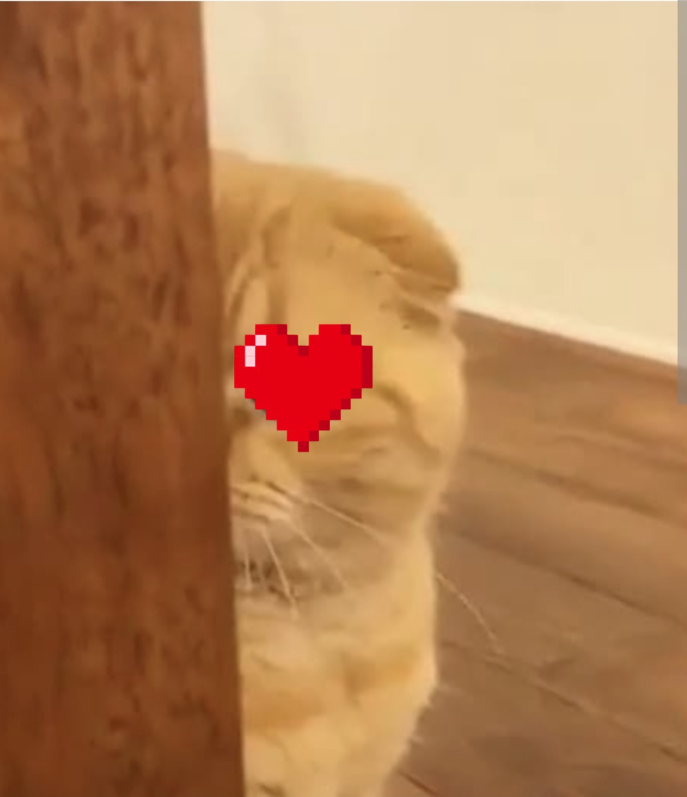 뽀그리 𖧧