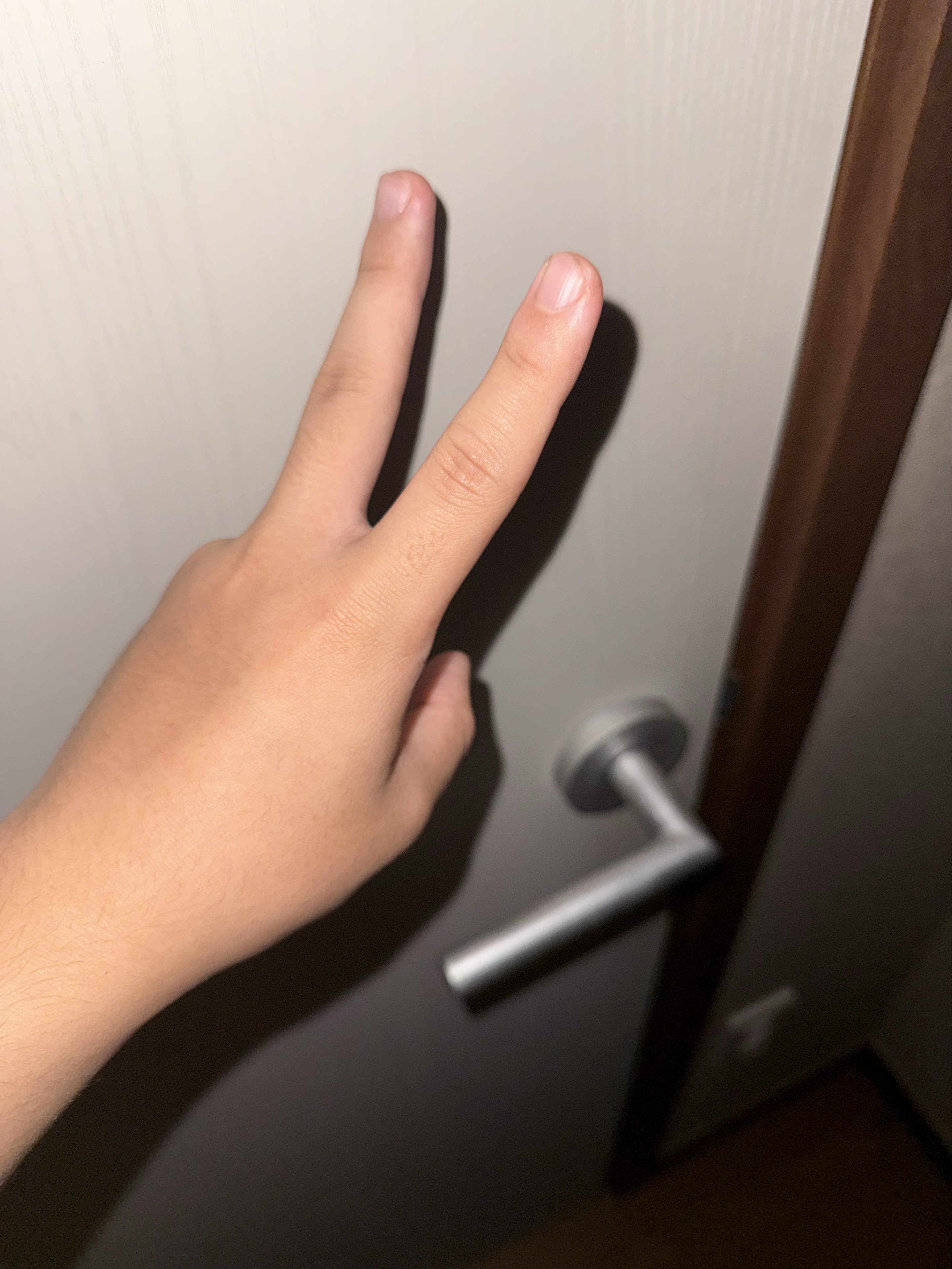 𝓓𝓖_࿐악교 ⁷≋☘︎ ݁⋆˚