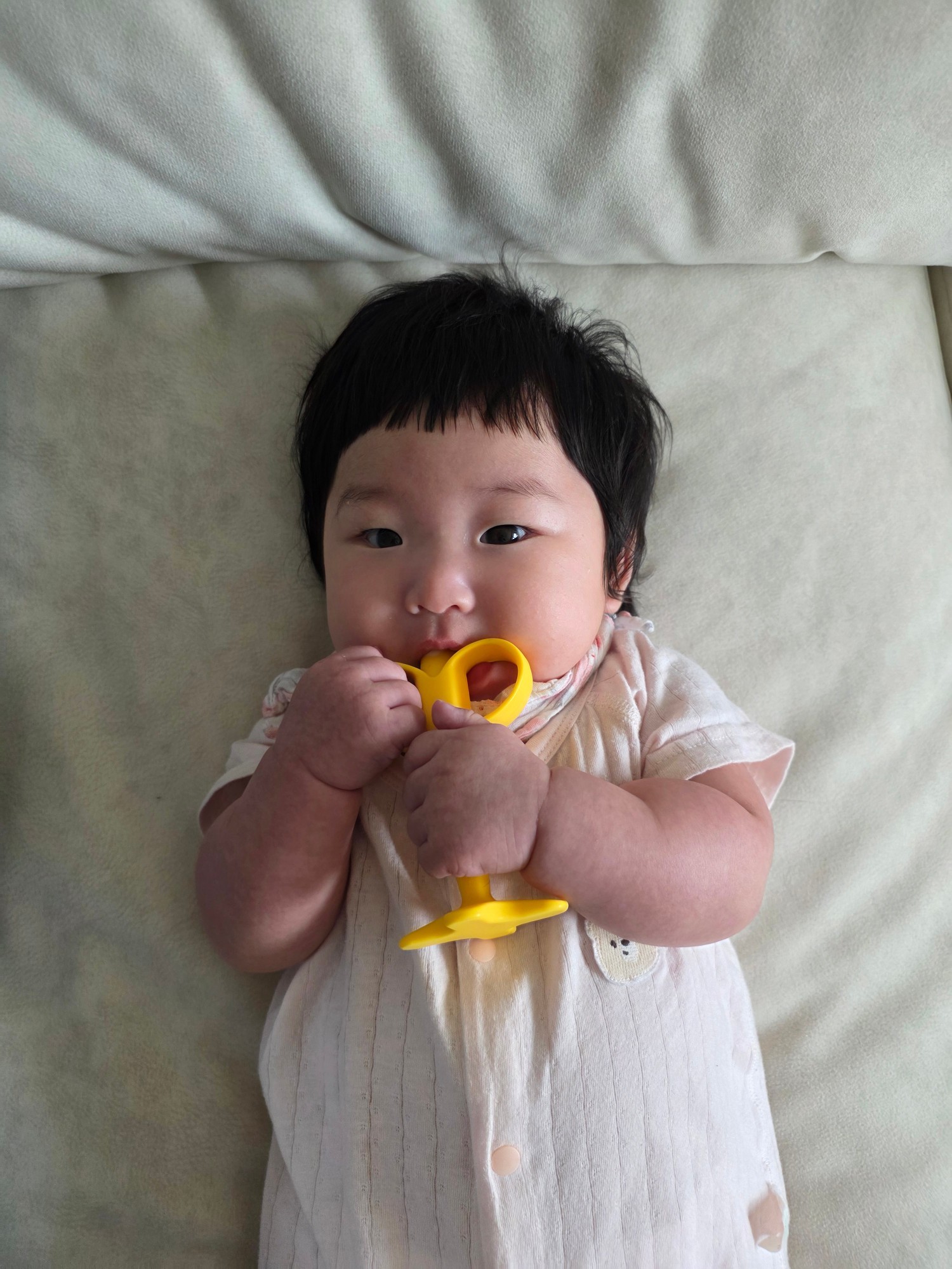 👶 비비드  🌸