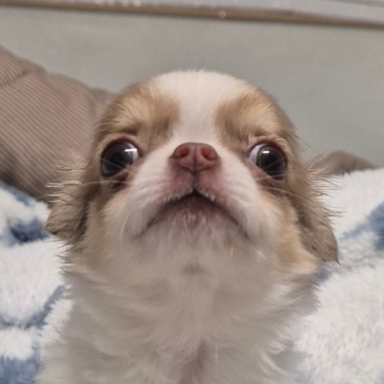 ๋ ๋ฌด ๐งง