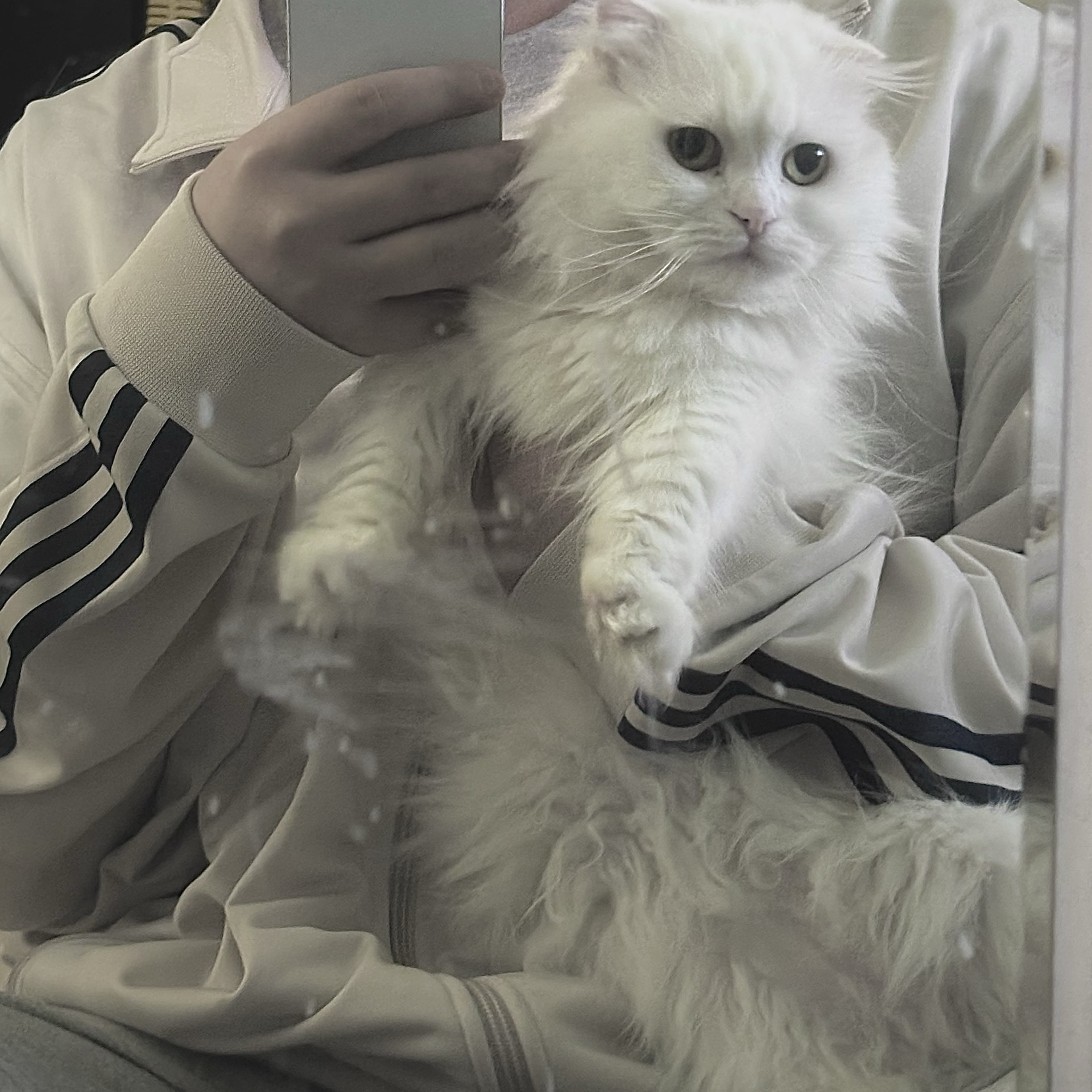 ๐ฎ ํ ๐ญ ๐ถ โพโโบ