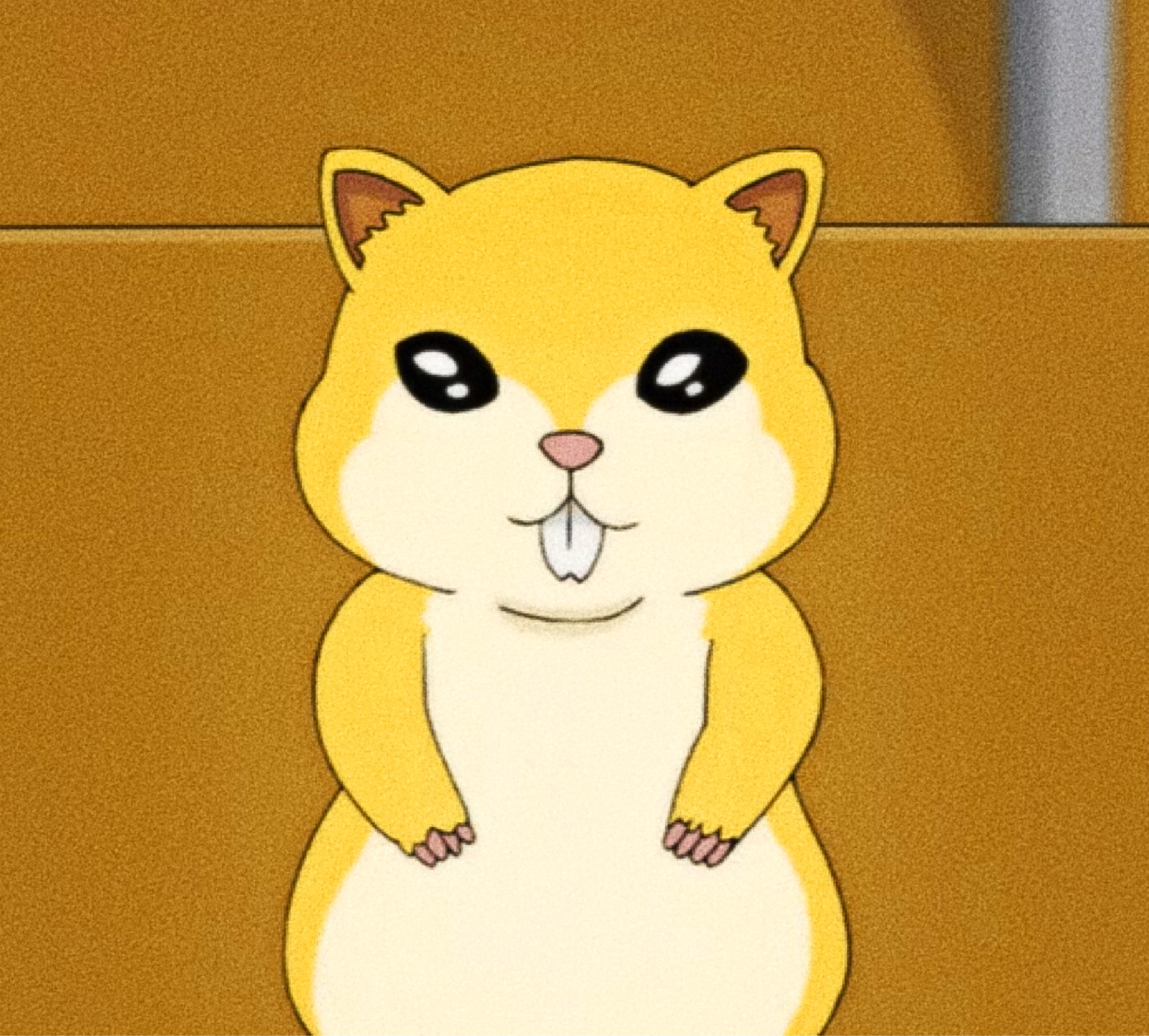 통 카 콩
