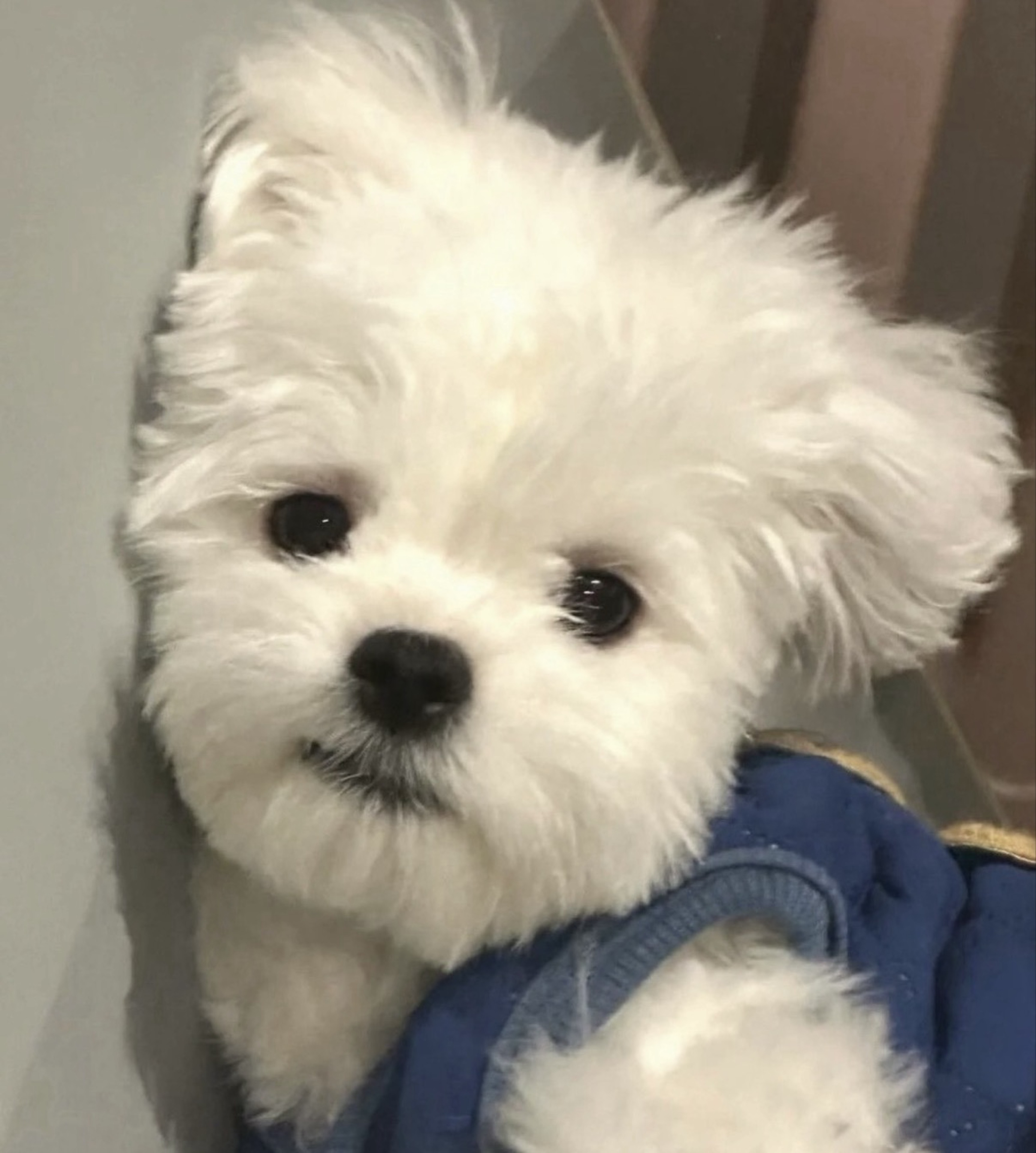 U͙    서 충삼